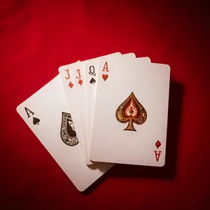 퐁토토 토 완벽 가이드